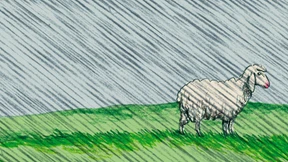 Die Gasteltern zählten die Lebensmittel