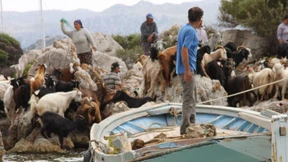 Kapitän Ismail  fängt den besten Fisch