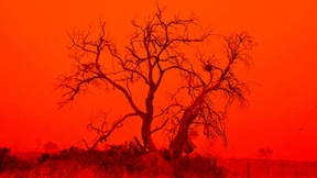 Bloß keine Panik – auch nicht beim Klima