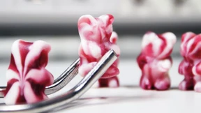 Start-up Karriere im E-Commerce | Im Portrait: Naschlabor