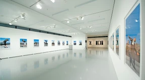 Diese Kunst nimmt die DZ Bank in den Fokus