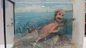 Die Exponate unserer Albträume