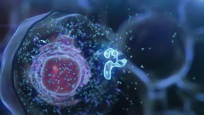 Digitale Zwillinge verbessern die Medizin