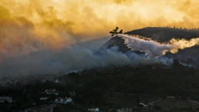 Waldbrände auf griechischer Insel Samos