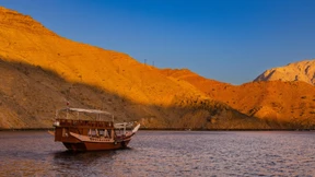 Das Lächeln der Sandgazelle