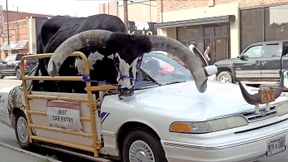 Nein, das ist keine Attrappe