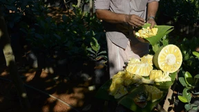 Jackfrucht löst neuen Superfood-Hype aus