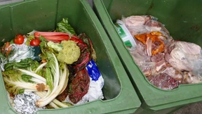 Klöckner will Lebensmittelabfälle halbieren