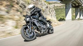 Verstand im Getriebe