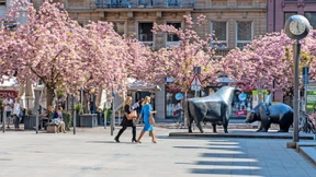FDP-Minister wollen die Aktie beflügeln