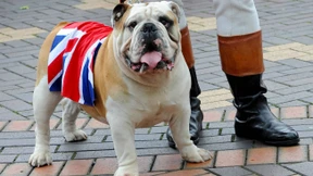 Deutsche an Briten: Bleibt bei uns!