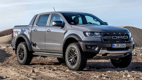 Raubtier mit Beißhemmung