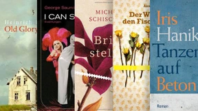 Kaskaden von immer neuen Fragen