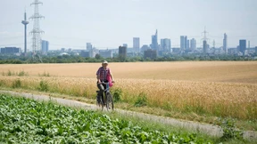 Frankfurt gibt nicht auf