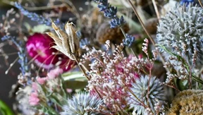 Trocken, aber nicht von gestern