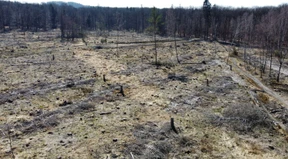 Beschluss zu Windkraft muss endlich her