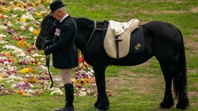 Pony von Königin Elisabeth II. zum „Horse of a Lifetime“ gekürt