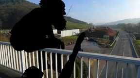 Im Nebel ruhet noch die Welt