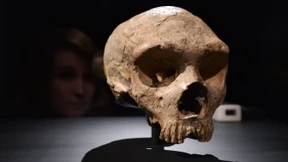 Ist der Neandertaler von Ochtendung echt?