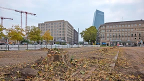 Alte Platanen weichen einer neuen S-Bahn-Station in Frankfurt