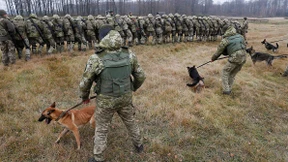 Ukraine entsendet 8500 Polizisten an die Grenze zu Belarus