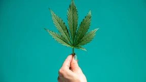 Zehn Vereine dürfen in Hessen Cannabis anbauen