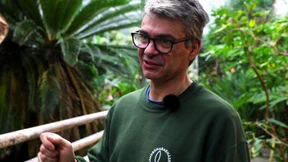 „Solche Bananen gibt es nur bei uns“