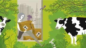 Zeit, den Traum zu leben