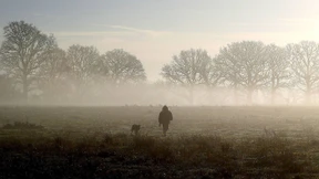 Etwas Kostbares kommt uns abhanden