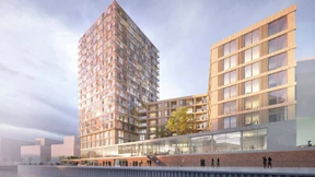 Gefällte Bäume gegen den Klimawandel