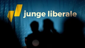 Die angepassten Liberalen
