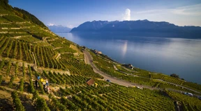 Mit Stolz schweizerisch