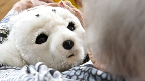 Das System pflegt mit