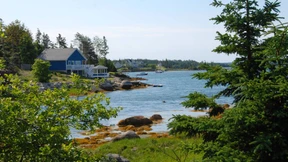 Trumps Erfolg lässt Amerikaner übers Auswandern nachdenken