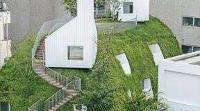 Von Ast zu Ast ein Haus