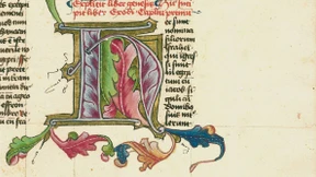 Zerfledderte Schätze