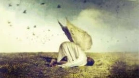 Hundeelend, Herzenswärme