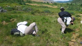 Die Welt im Sandkorn