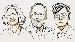 Wie der Körper verhindert, dass die Immunabwehr Amok läuft