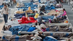 Aktuelle Einwanderungspolitik stärkt die AfD