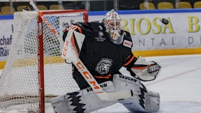 Aufsteiger im Aufwind