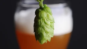 Wie kommt die Magie ins Bier?