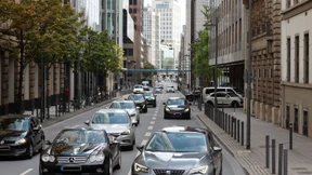 So will Greenpeace den Ölverbrauch reduzieren