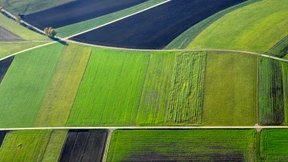 Ein Anfang ohne Zauber