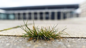 Neue Zweifel an BER-Eröffnung 2017