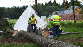 Wann haften Betreuer?