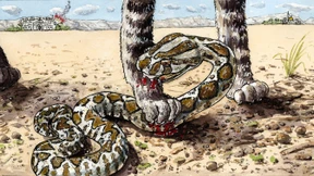 Flurschaden für das Völkerrecht