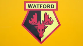 FC Watford sagt Spiel gegen Qatar ab
