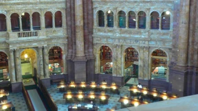 Es geht um Bildung, Dummkopf!