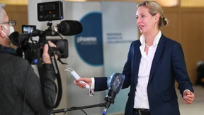 Der AfD fehlt das Gewinnerthema